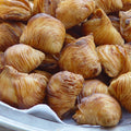 Mini Italian Sfogliatelle Take and Bake Pastries - Che Cose Belle