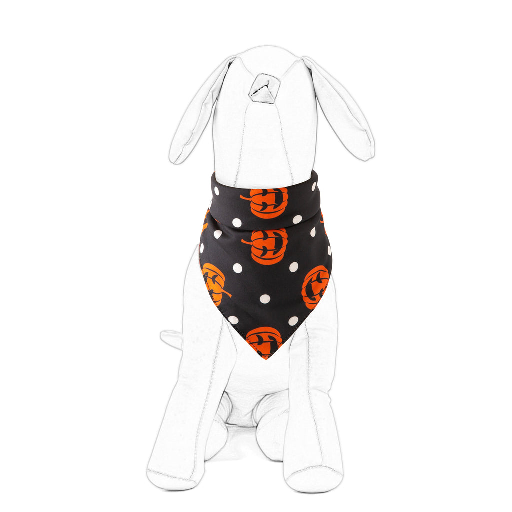 Halloween pet bandana