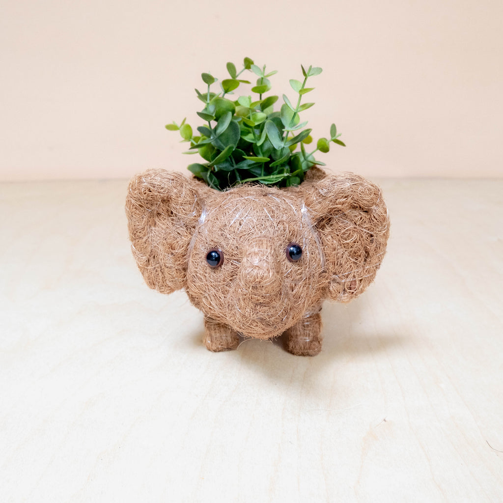 Baby Elephant Planter