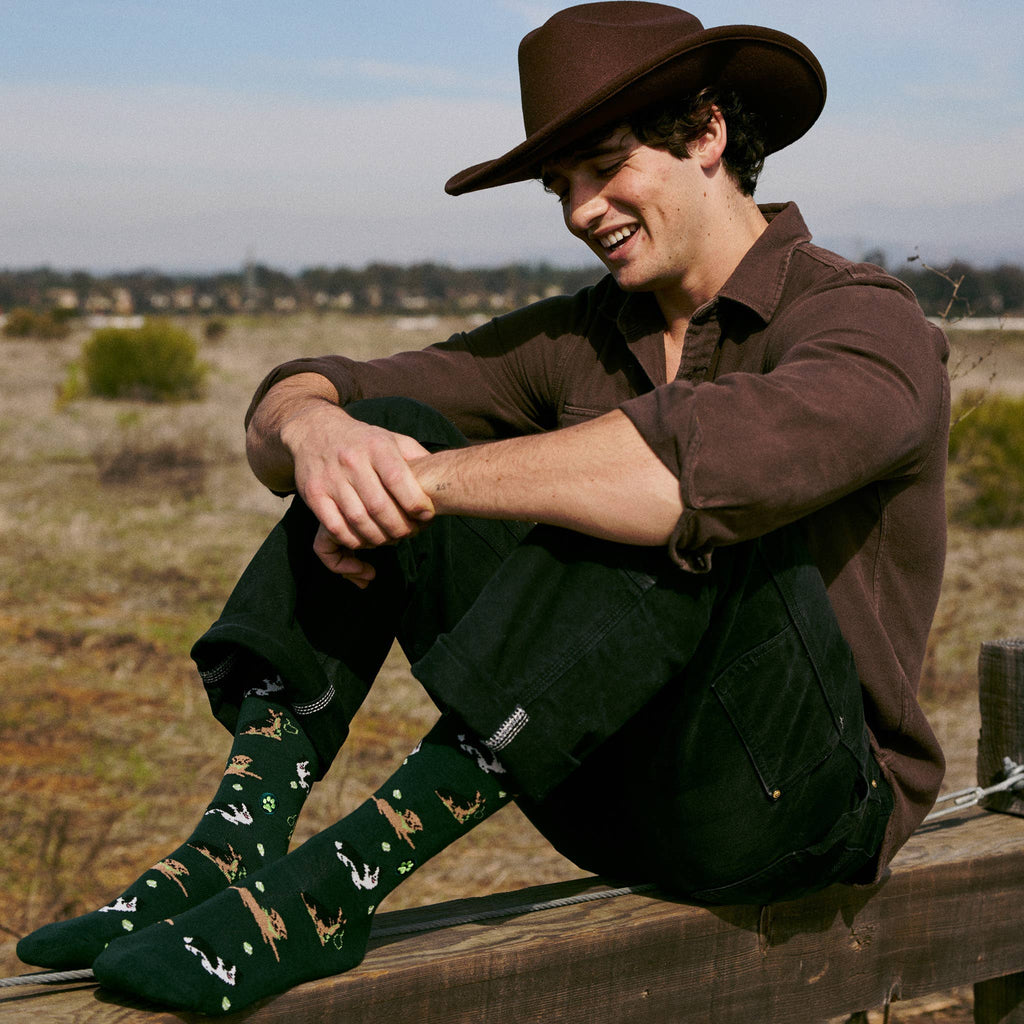 Socks that Save Dogs (Go Fetch)