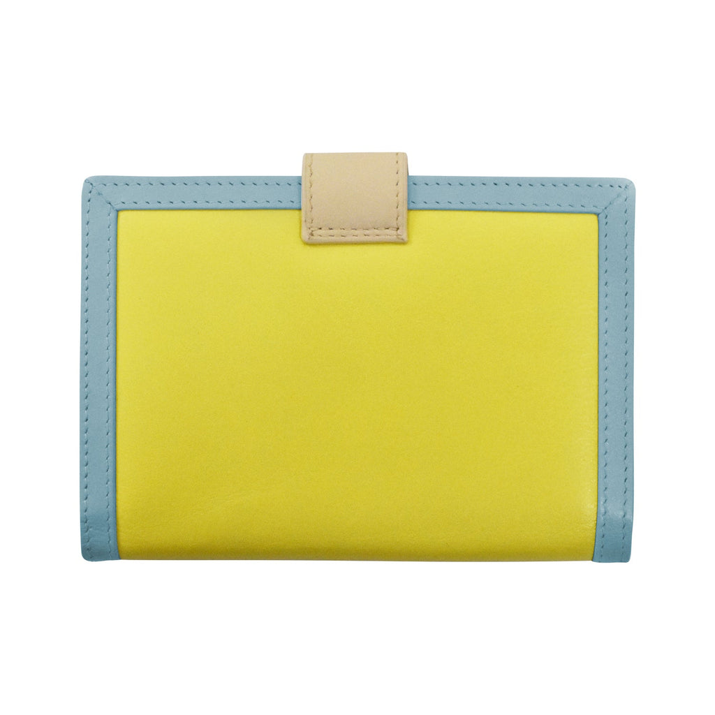 MULTI COLOR PASSPORT WALLET