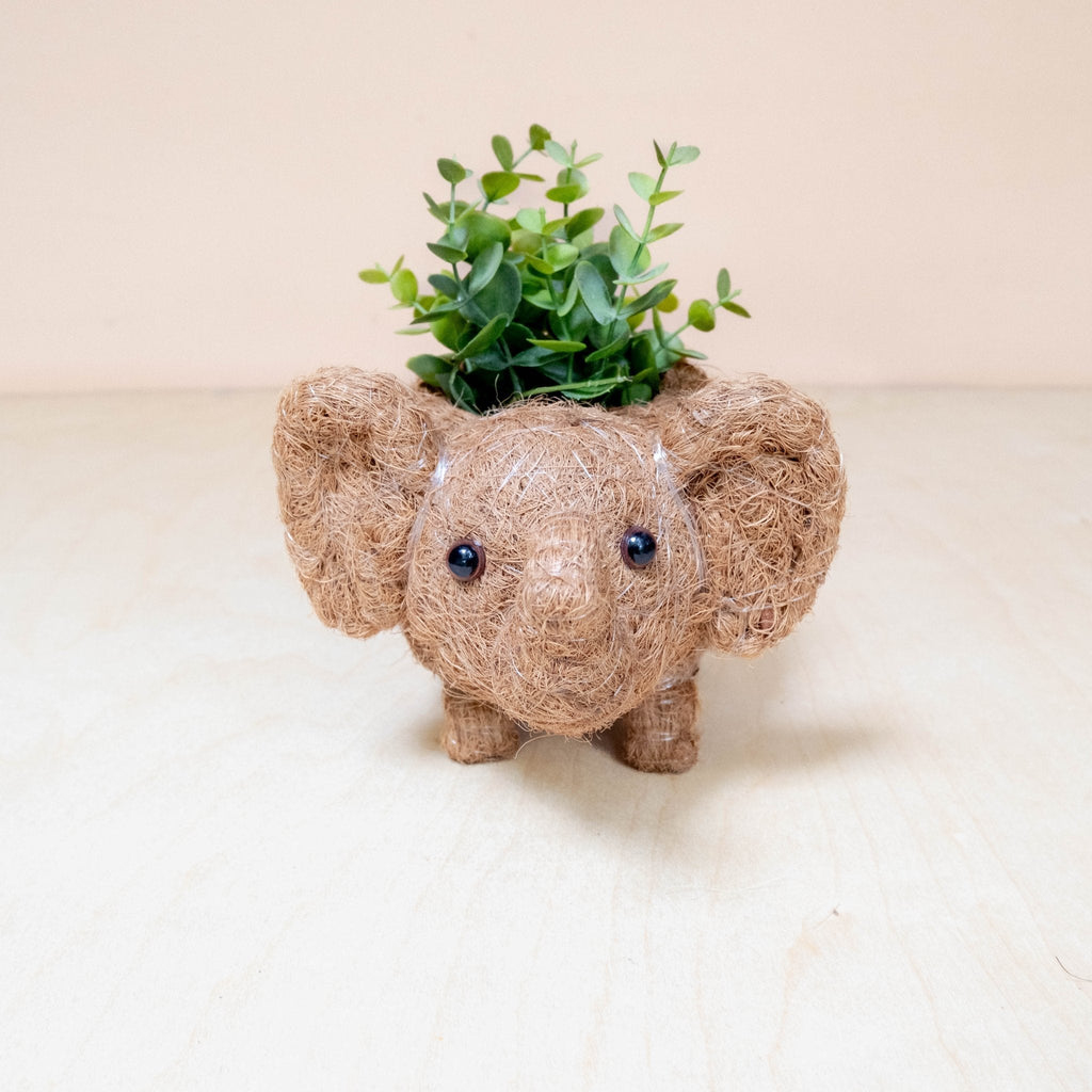 Baby Elephant Planter