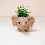 Baby Elephant Planter