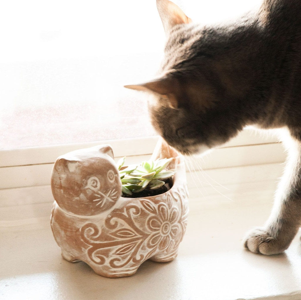 Garden Kitty Planter