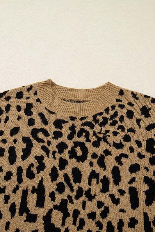 Leopard Ribbed Trim Crewneck Drop Shoulder Sweater