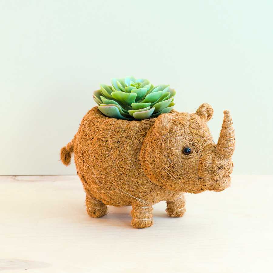 Baby Rhino Planter