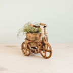 Bicycle Rattan Planter, medium - Handmade Planters | LIKHÂ