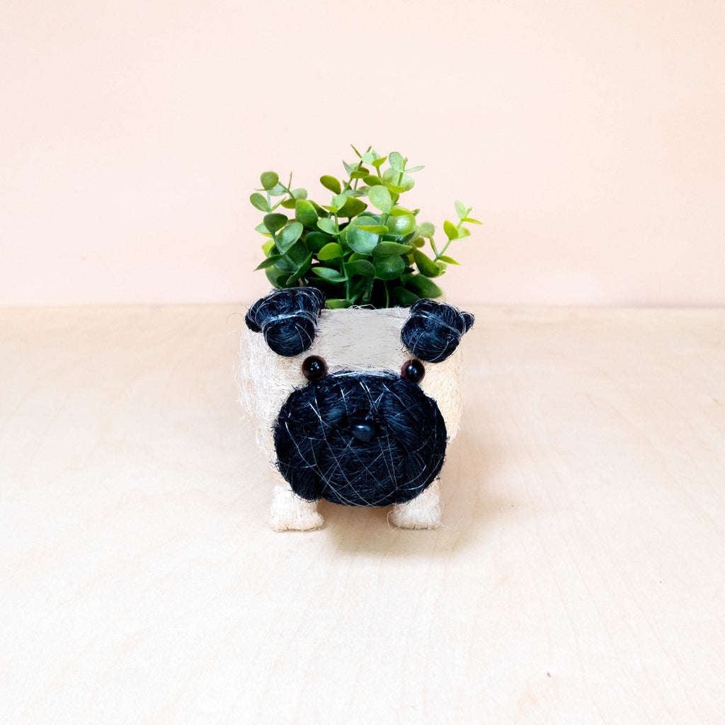 Baby Pug Planter
