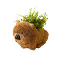 Chow Chow Planter