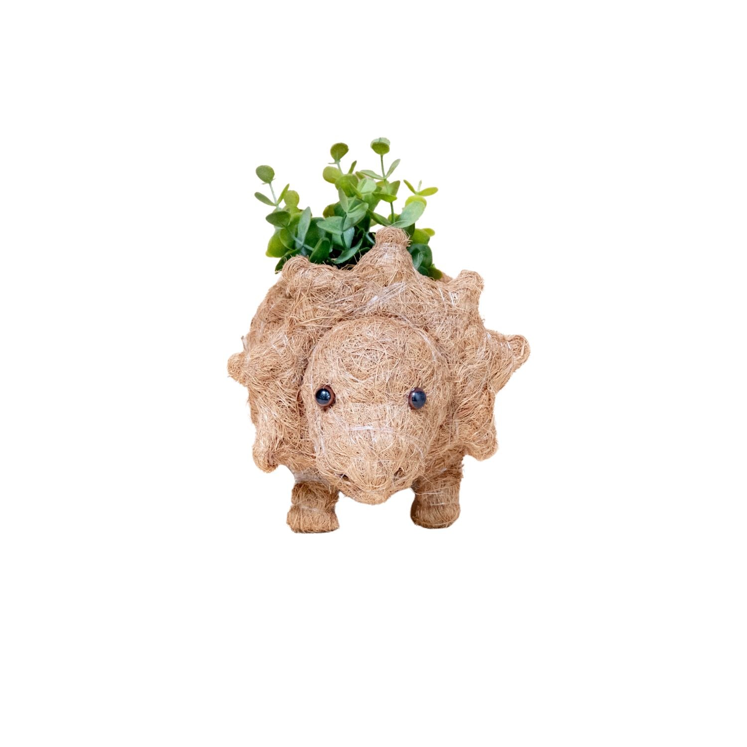 Baby Triceratops Planter