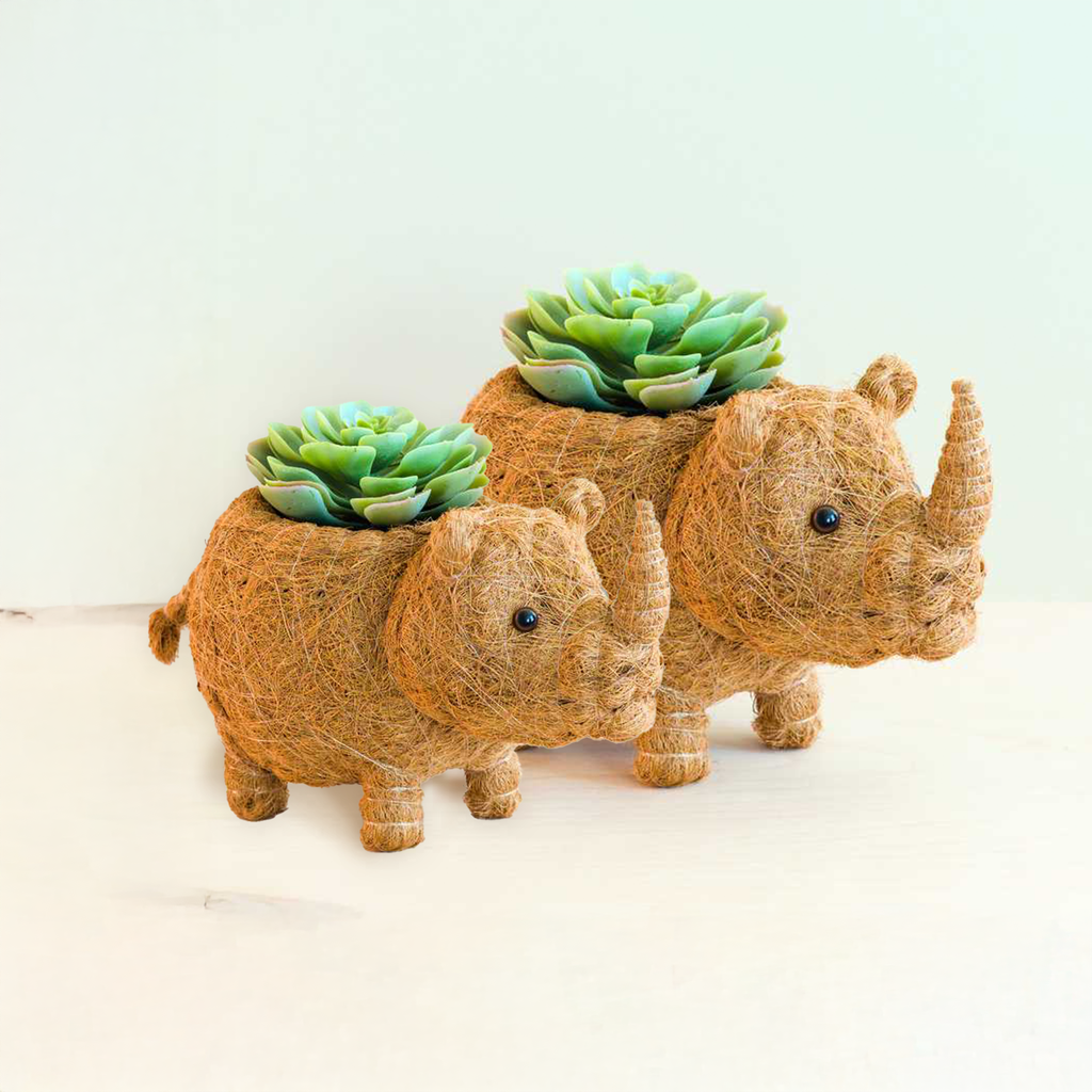 Baby Rhino Planter