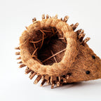 Hedgehog Planter - Coco Planter