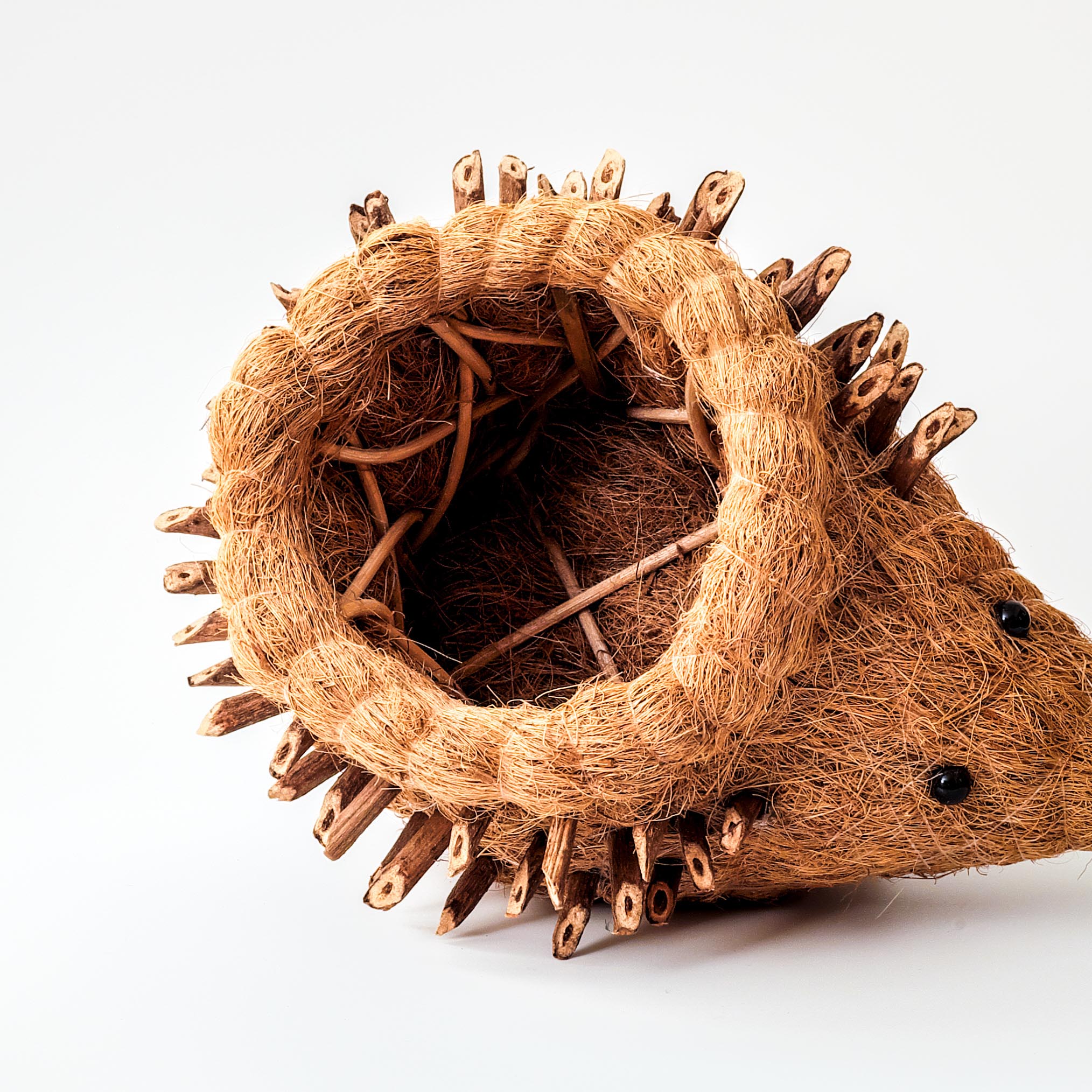 Hedgehog Planter - Coco Planter