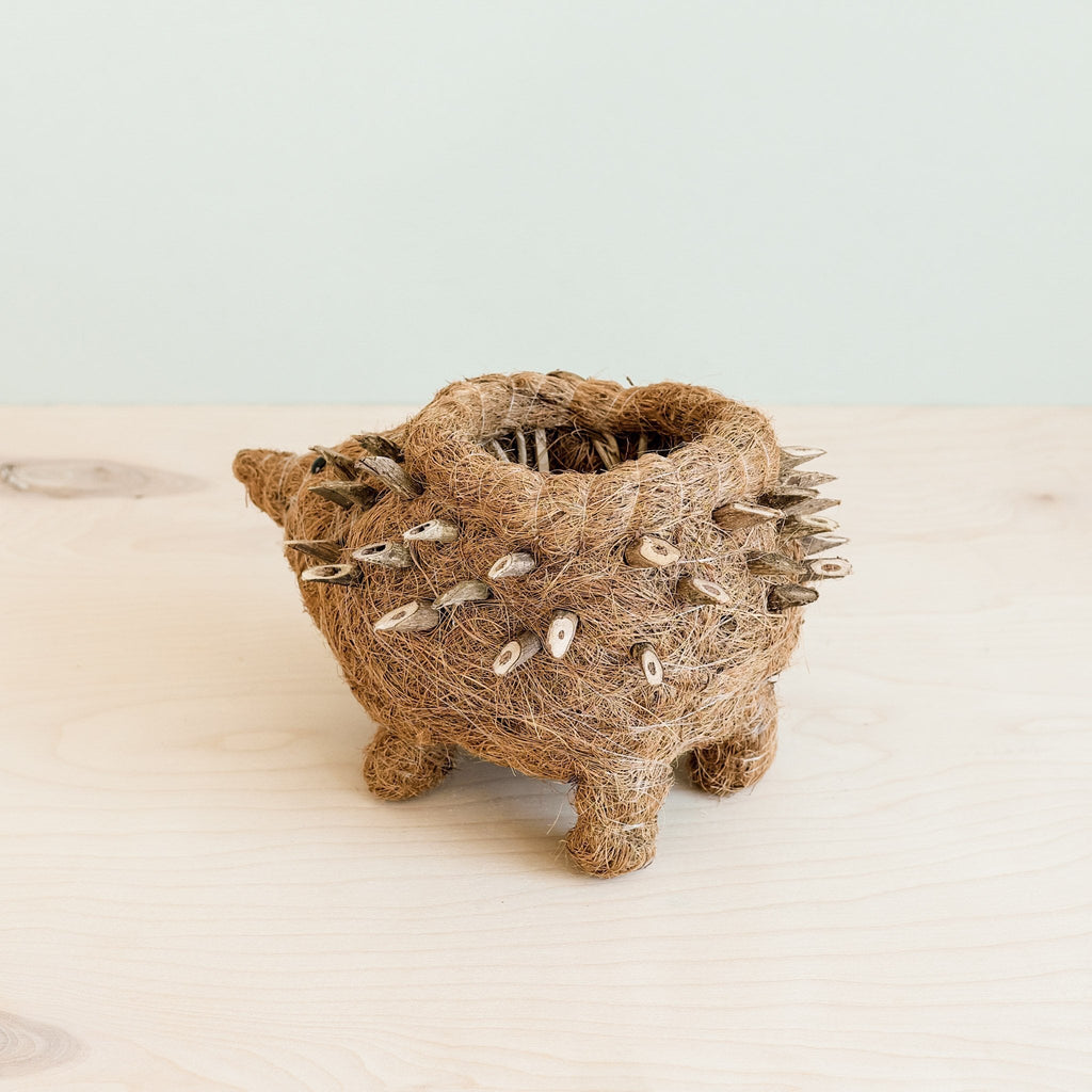 Hedgehog Planter - Coco Planter
