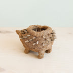 Hedgehog Planter - Coco Planter
