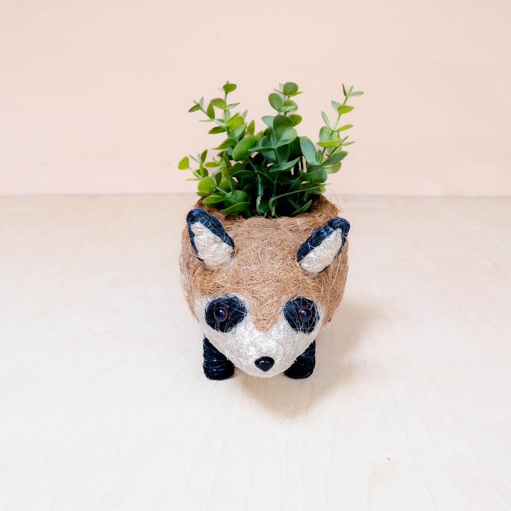 Baby Raccoon Planter - Handmade Planter | LIKHÂ