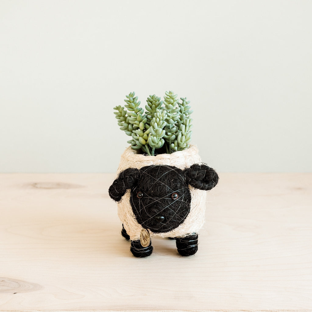 Baby Sheep Planter