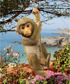 Design Toscano Chico the Chimpanzee Baby Monkey Hanging Indoor/Outdoor Animal Statue, 16 Inch Long, Cast Stone Resin, Brown Painted Finish