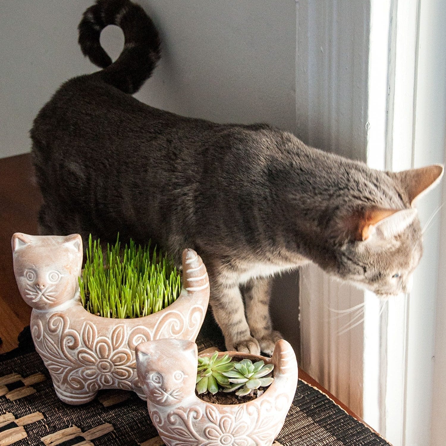 Garden Kitty Planter