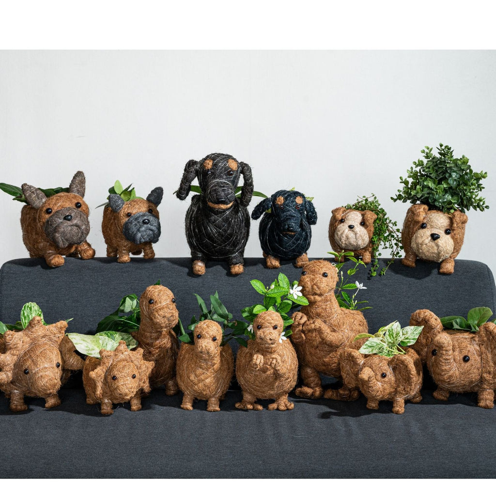 Baby Triceratops Planter