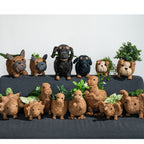 Baby Triceratops Planter