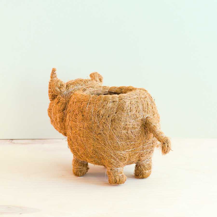 Baby Rhino Planter