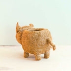Baby Rhino Planter