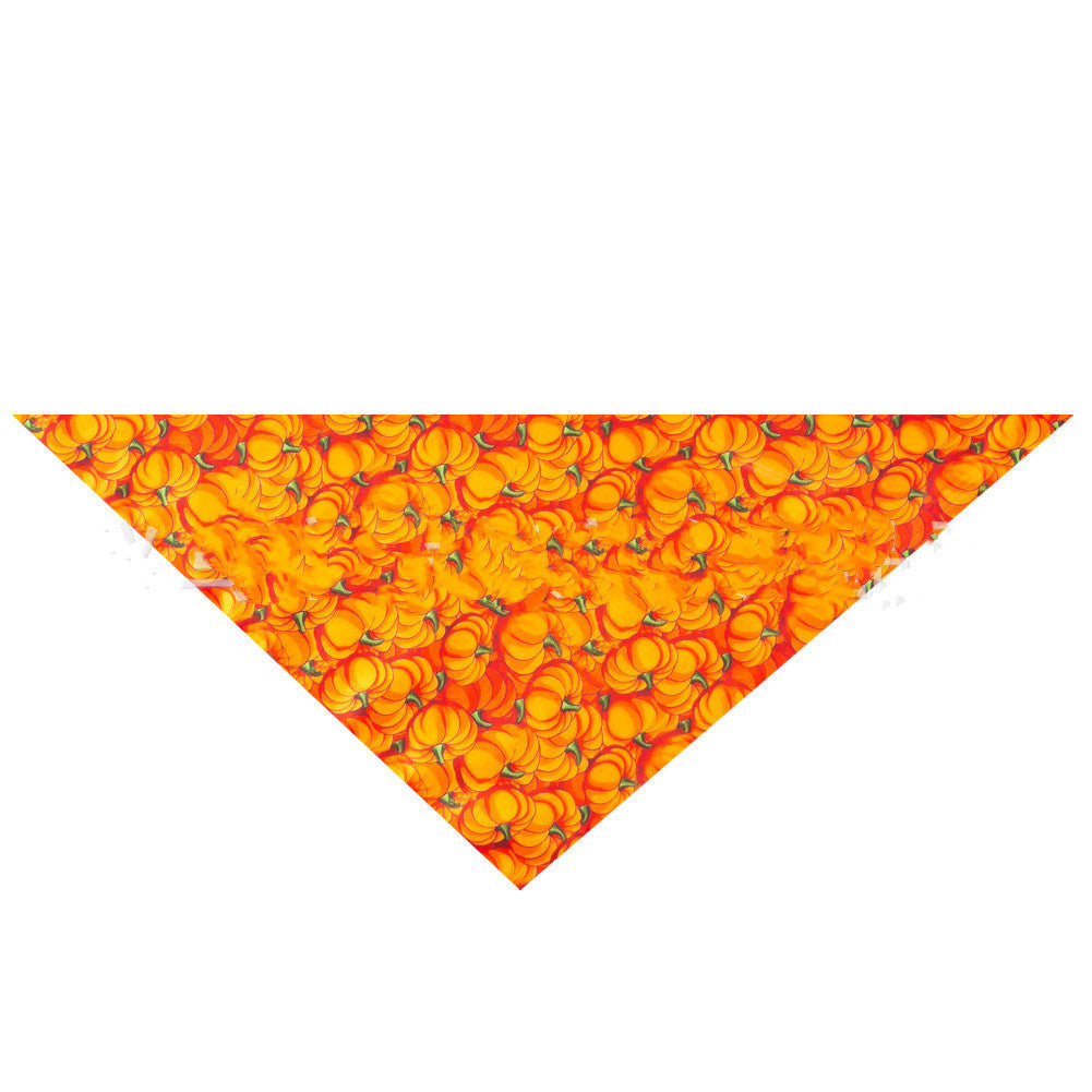 Turkey Thanksgiving Pet Bandana