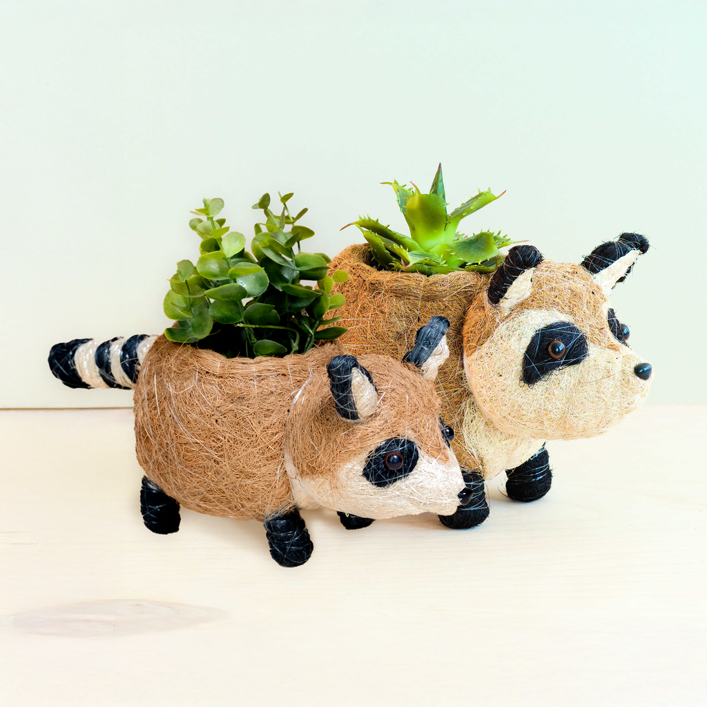 Baby Raccoon Planter - Handmade Planter | LIKHÂ
