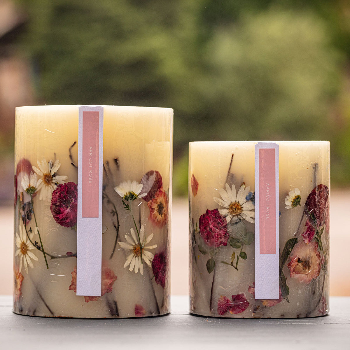 Accent Botanical Candle - Apricot Rose
