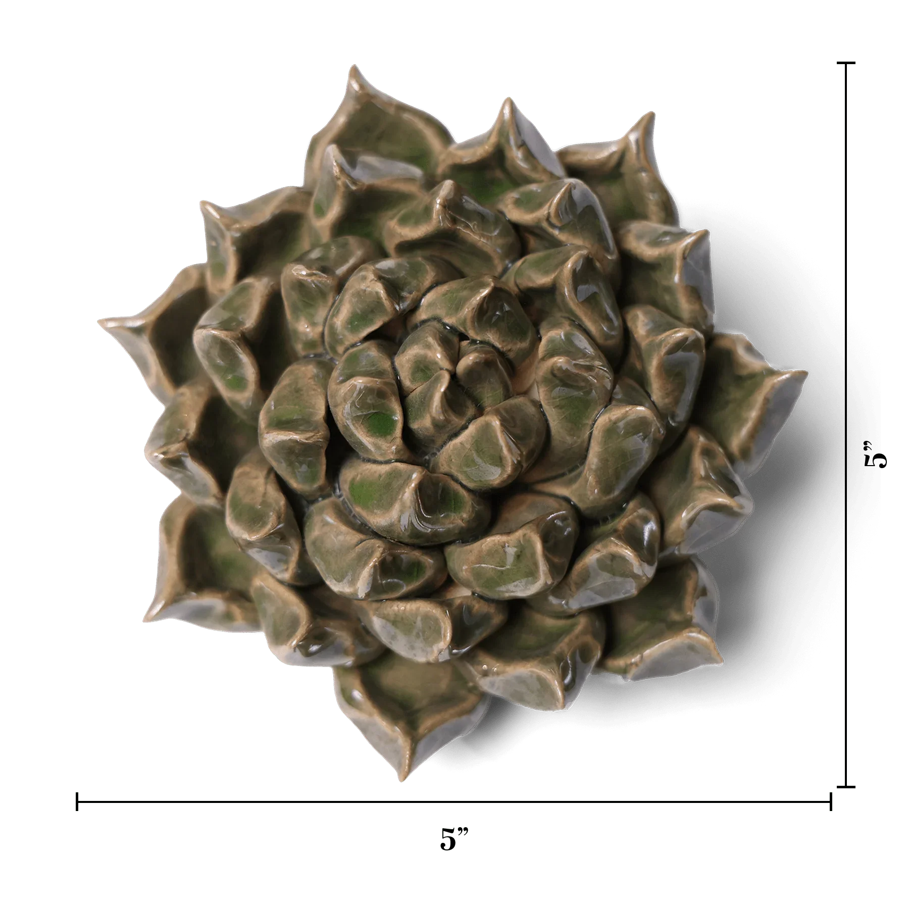 Ceramic Flower Wall Art Succulent Green 6: Large Succulent Green