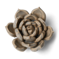 Ceramic Flower Wall Art Succulent Blue 12: Succulent Light Blue