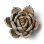 Ceramic Flower Wall Art Succulent Blue 12: Succulent Light Blue