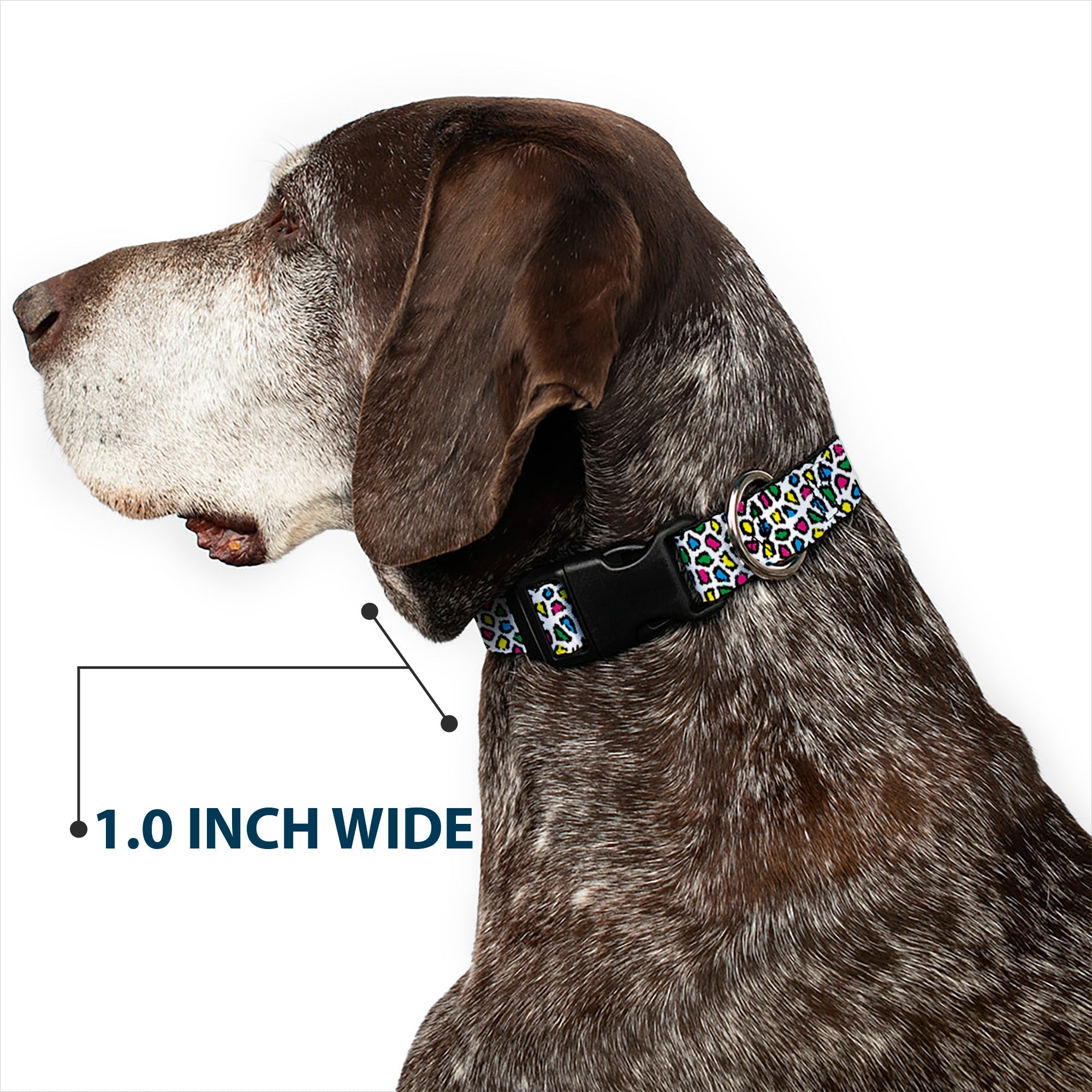 Plastic Clip Collar - Leopard White/Multi Color