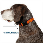 Plastic Clip Collar - BUCKLE-DOWN Shapes Red/Orange