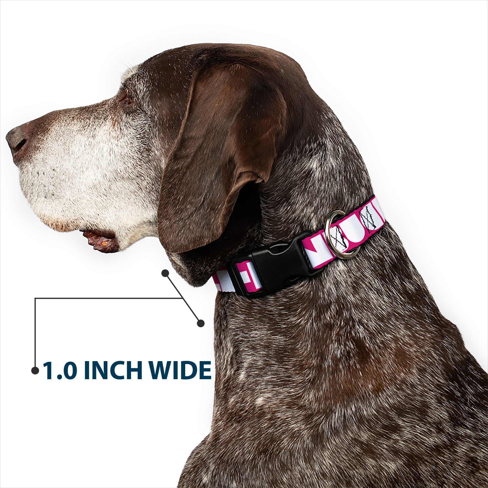 Plastic Clip Collar - BUCKLE-DOWN Shapes Hot Pink/White