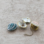 Blue & White Sea Life Shell Trinket Dish
