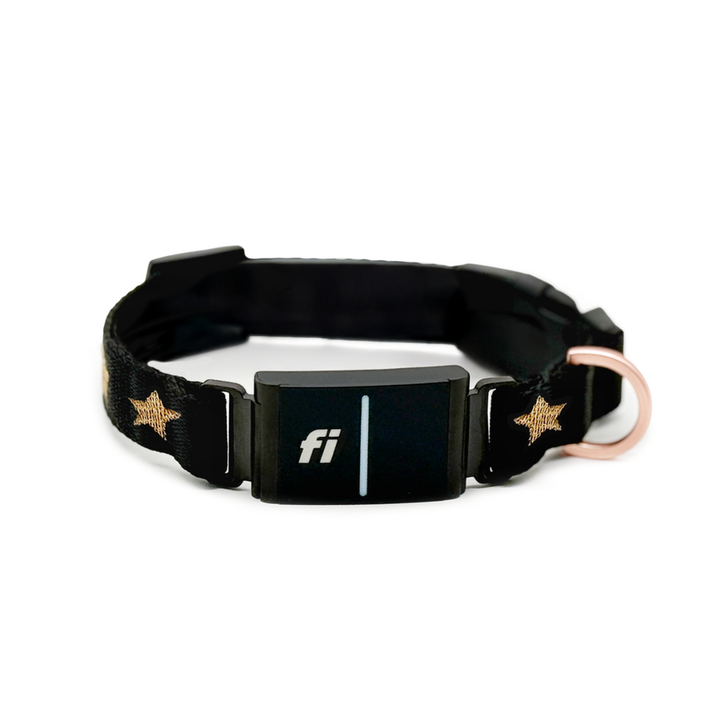 The DOGISTRY x Fi Rockstar 3+ Collar Band