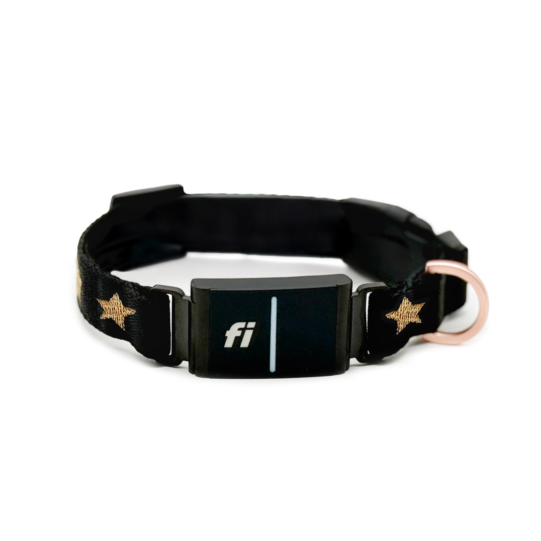 The DOGISTRY x Fi Rockstar 3+ Collar Band