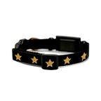 The DOGISTRY x Fi Rockstar 3+ Collar Band