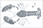 Grey Lobster Placemat | Nautical