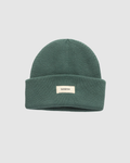 Alden Beanie