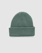 Tentree Trees Alden Beanie