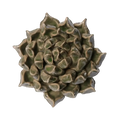 Ceramic Flower Wall Art Succulent Green 6: Large Succulent Green