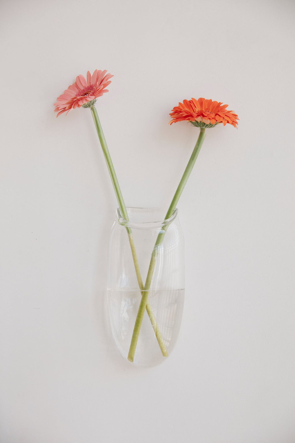 Droplet Wall Vase in Clear