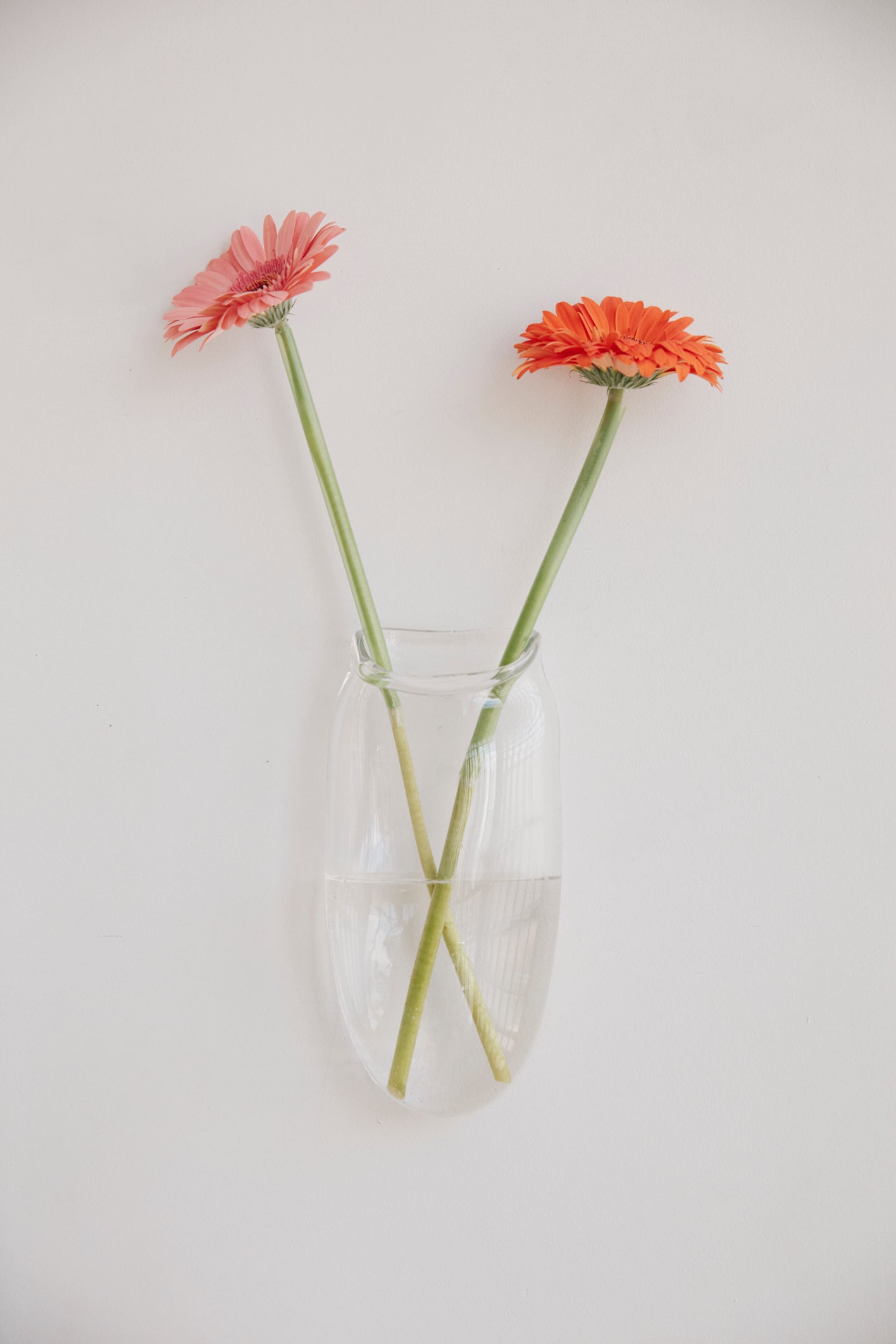 Droplet Wall Vase in Clear