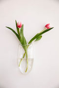 Droplet Wall Vase in Clear