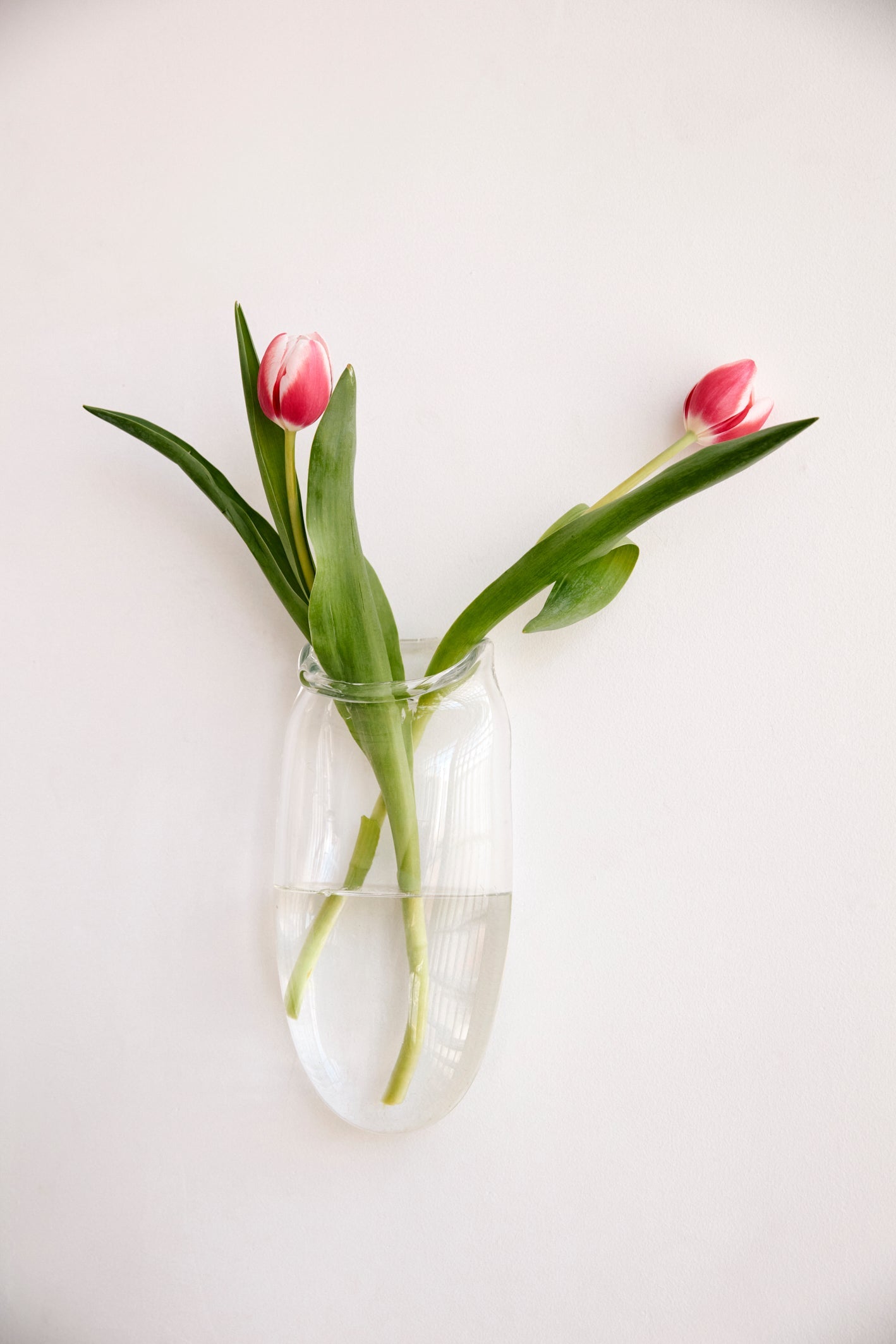 Droplet Wall Vase in Clear