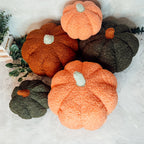 Plush Pumpkin Throw Pillow Decorative Fall Pillow Soft Cuddle Pumpkin Decor