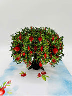 Let Life Unfold Beautifully